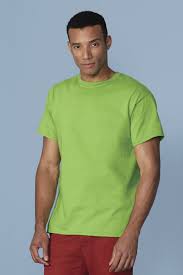 Gildan Ultra Cotton T Shirt 2000
