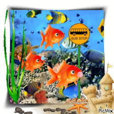 fish free animated gif picmix