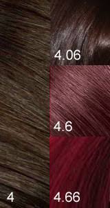 International Colour Charts For Hairdressing Hair And