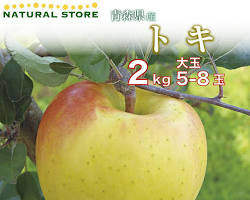 青森県のりんごの初荷のイメージ