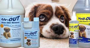 homepage ur out pet urine odor remover