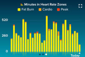 Fitbit Charts Goals Cardio Heart Rate Weight Loss Over