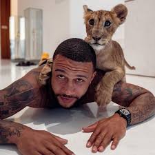 ©memphis depay 2020 all rights reserved. Memphis Depay Channels His Inner Tiger King As Lyon Star Poses With Liger And Shows Off Big Cat Tattoo