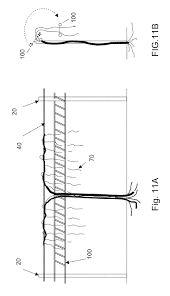 Us9717189b2 Grid Shoot Positioning System For Grape Vines