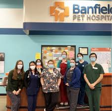 In 2009 banfield obtained their first primera división title after winning the 2009 apertura. Veterinarians In Wylie Tx Banfield Pet Hospital