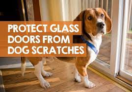Protect A Glass Door From Dog Scratches