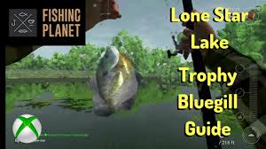 Xbox Fishing Planet Trophy Bluegill Beginner Guide Lone Star Lake