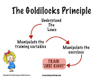 goldilocks principle