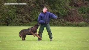 best police dog training you