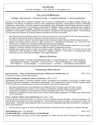 Collection Manager Resume