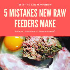 Cibola farms ground bison meat comes from whole meat trimmings that are the result of forming steaks and roasts. 5 Raw Feeding Mistakes Dog Owners Make Keep The Tail Wagging