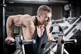 the 5 best triceps exercises for