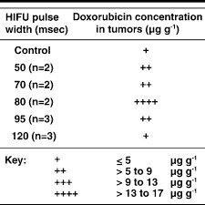 Chart Shows Doxorubicin Concentration In Scc7 Tumors For