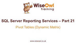 reporting services ssrs part 21