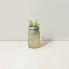 Modern Sprout Indoor Herb Garden Kit