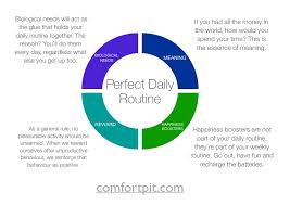 How To Design The Perfect Daily Routine The Ultimate System