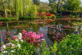 Beautiful Lily Pond In Spring In Claude
