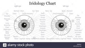 Veracious Iridology Iris Chart 2019