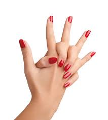 nsi pro nail gel hands or feet nail