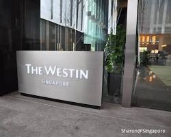新加坡The Westin Singapore旅館