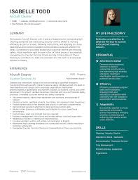 3 aircraft cleaner resume exles