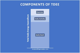 free tdee calculator find out how many