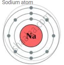 sodium atom chlorine ion carbon atom