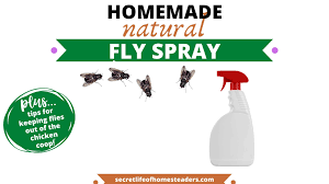 homemade fly spray to keep your en