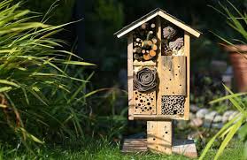 The mason bee is often used in commercial orchard if you are waiting to learn about the best hotel for mining bees, here's your diy bee house plan. How To Build A Hotel For Wild Bees