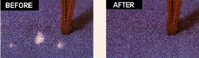 carpet dye repair and restoration in
