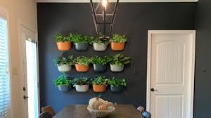Living Wall In Your Home Using Wallygro