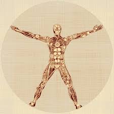 human body contain a variety of metals