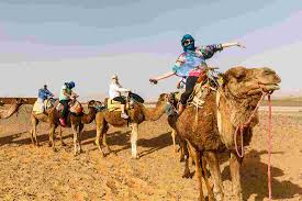 These camels having two humps were the major mode of transport to travel to silk route. Best Of Morocco Intrepid Travel Us