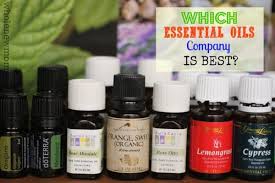 Which Company Has The Best Essential Oils Learn The Truth