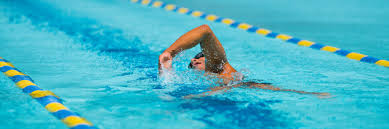 lap swim berkeley recreational sports
