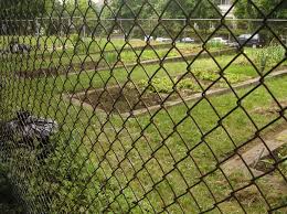 Why Chain Link Fences Are Best For