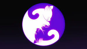yin yang cat harmony 4k hd wallpaper