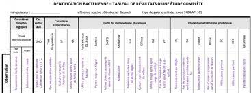 identification bactérienne