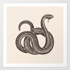 Egyptian Snake Fine Art Pencil