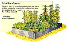 Vegetable Garden Planner Layout