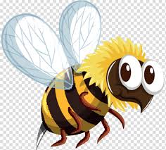 Cartoon honey bee cartoon bee. Honey Bee Beehive Bumblebee Drawing Honey Bee Cartoon Honeybee Transparent Background Png Clipart Hiclipart