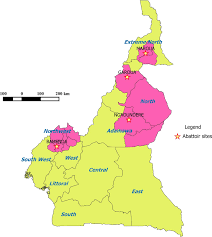map of cameroon showing the 4