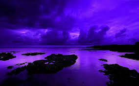 Hd Wallpaper A Violet Night Purple