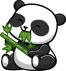 best cute panda eat bamboo ilration