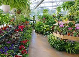 greenhouse open house hyannis country