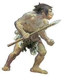 Caratteristiche del cervello dei neanderthal unaltra differenza tra il cervello dei neanderthal e quello dellumano moderno risiede nella forma. Uomo Di Neanderthal Vikidia L Enciclopedia Libera Dagli 8 Ai 13 Anni