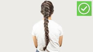 Two braids next to each. How To French Braid 14 Steps With Pictures Wikihow