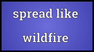 Image result for spread like wild fire