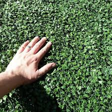10 Artificial Plant Wall Panels Grass