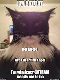 I hope you guys like our collection of batman quotes. Batcat Imgflip